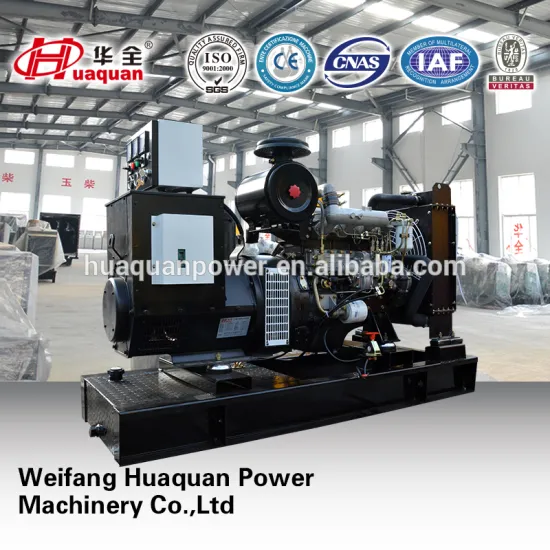 Permanent Magnet Generator Alternator PMG PMA 40 KVA