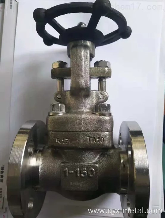 titanium VT1-0 corrosion resistance titanium check valve
