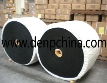 High Quality Belt Conveyor Nylon Belt for Sale