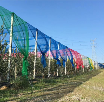 PE Multi-funtional  Net
