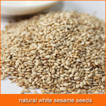 natural white sesame seeds