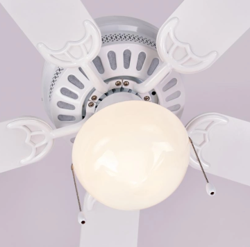Energy saving electric fan light