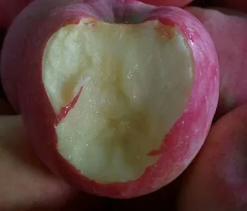 Ningxia zhongwei quality apple box