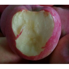 Ningxia zhongwei quality apple box