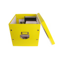 APEX Home Organization Underbed Collapsible Storage Box