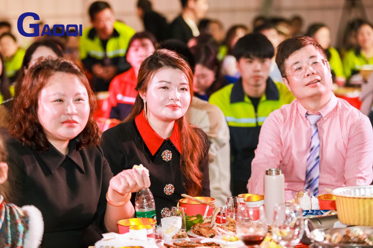 Dongguan Gaoqi Electronics Co.Ltd