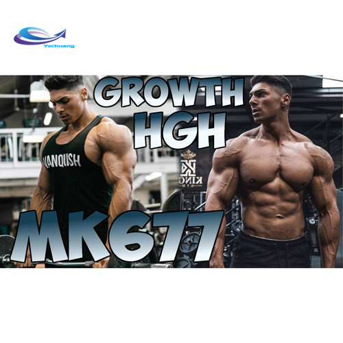 99% Powder Agmatine Sulfate supply sarms capsule Ibutamoren Mk-677 capsule Factory