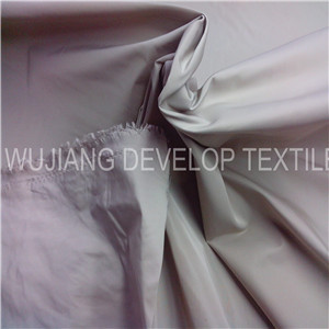 75D*300d Polyester Imitate Memory Fabric for Down Jacket Fabric (DT3028A)