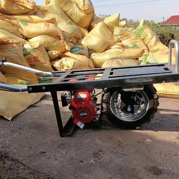 Agricultural Unicycle for Orchard Transport
