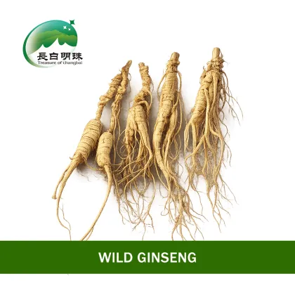 High Nutrition Healthy Ginseng