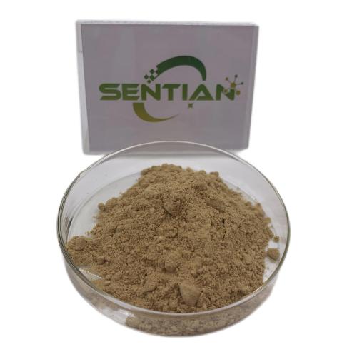 Bacopin root extract Morinda officinalis extract