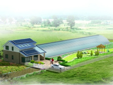 Scenic Sunlit Warm Greenhouse