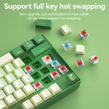 BOW Hot Sales Wired Swappable Mechanical Gaming Keyboard with Red Switch