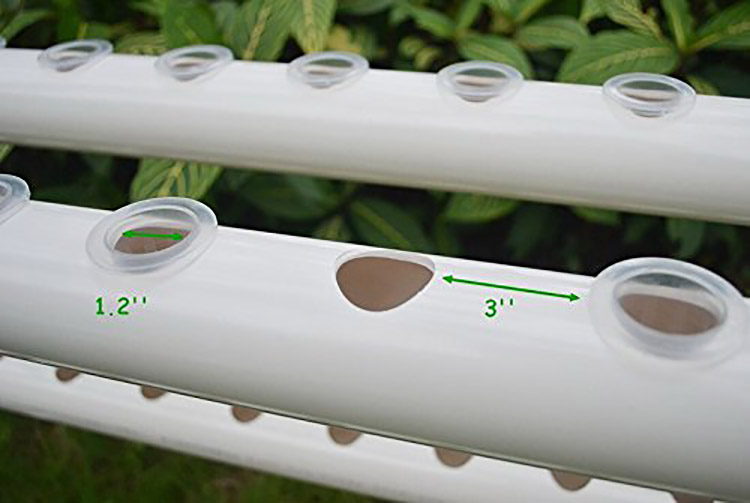  Hydroponic Grow System