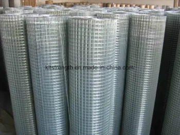 Hot Dipped Galvanized Welded Wire Mesh