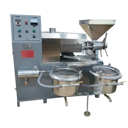 Small Business Oil Extraction: Cold Oil Press Machine for Copra, Peanut Oils