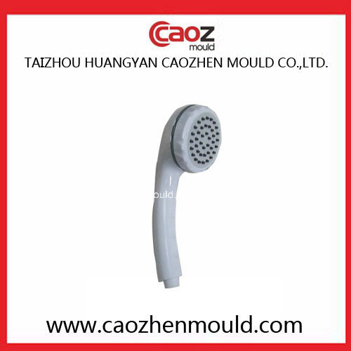 Hot Selling Plastic Injection Showers Shell Mould