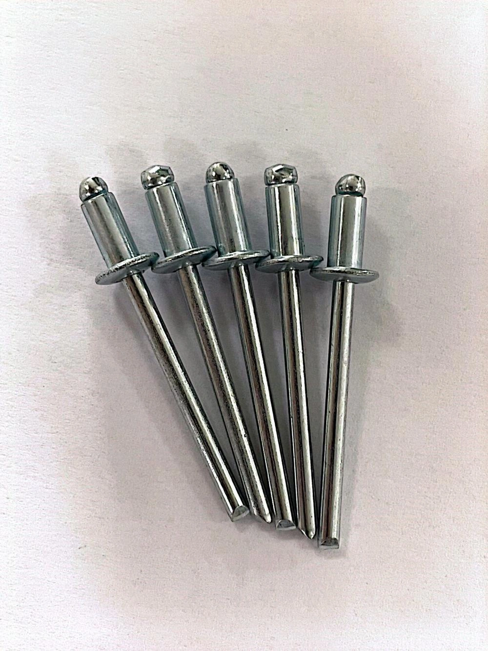 Stainless Steel Dome Head Open End Blind Rivets