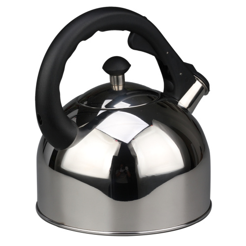 Stainless Steel Whistling Tea Pot