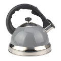 Fastest Boiling Surgical Stainless Steel Tea Kettle