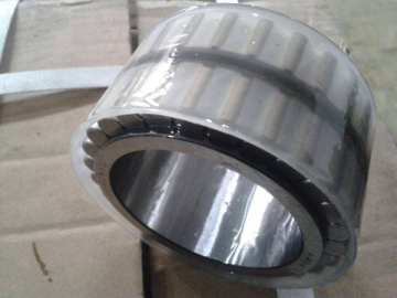 Double Row Cylindrical Roller Bearing (3682776)