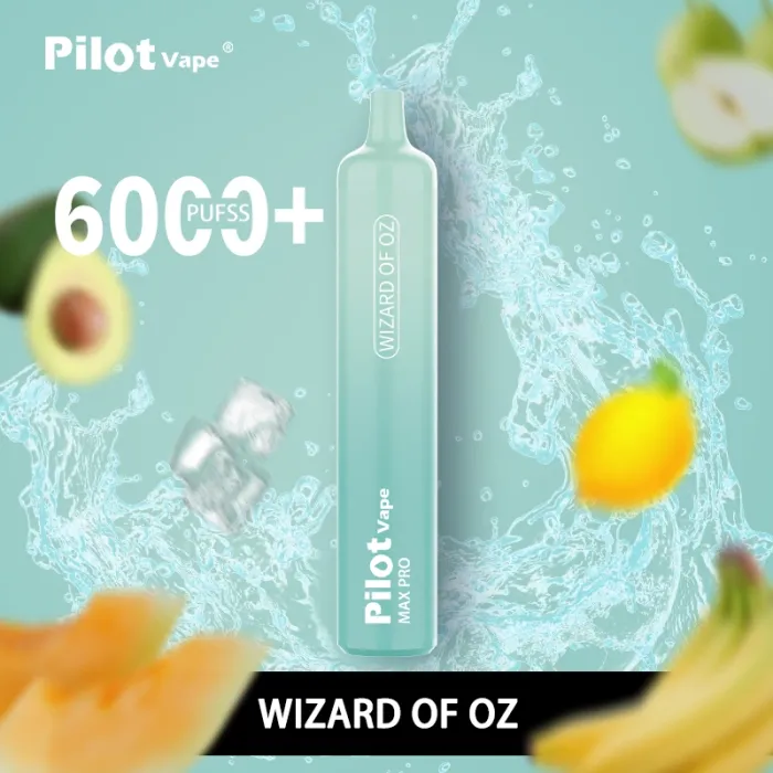 Pilot Max Pro 6000 puffs