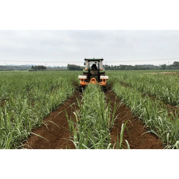 Sugarcane Cultivator Bästsäljande Weeding Machine