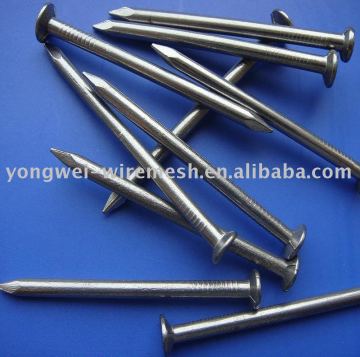 Common Polished Nail (Factory)