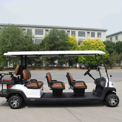 8-seater pure electric golf cart