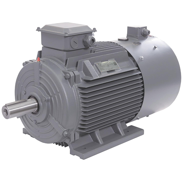 BEIDE11KW YVF2 series L-V Three-phase Asynchronous Motor