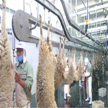 sheep slaughterhouse equipment