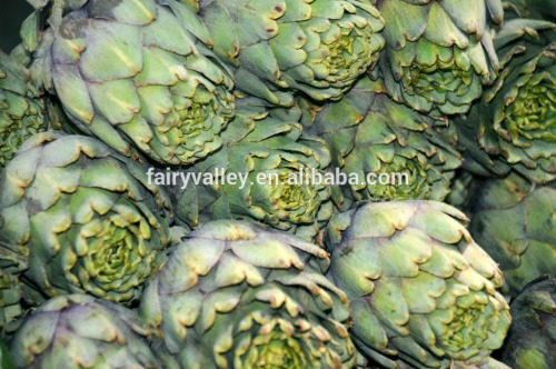 Globe artichoke Artichoke seeds Cynara scolymus seeds for growing-Seeds Sale
