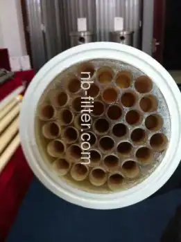 Pvdf Ultrafiltration Tubular Membranes For Apple Juice Applicants 