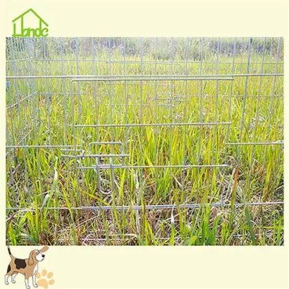 Easiest home built  indoor chicken coop