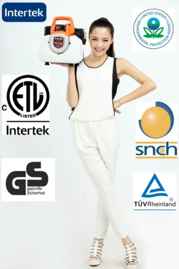 Silent gasoline generator