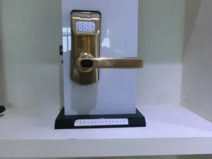 fingerprint lock