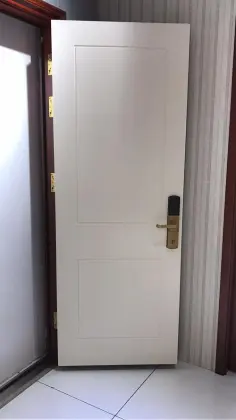 High - tech Entrance Security Door