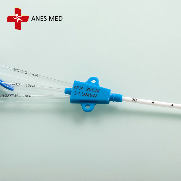 anatomy of a triple lumen catheter ports