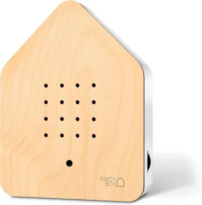 bird song sound box white noise from nature