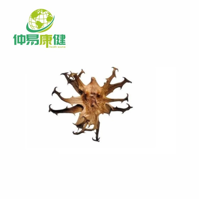 Devil's claw Root Extract Harpagoside