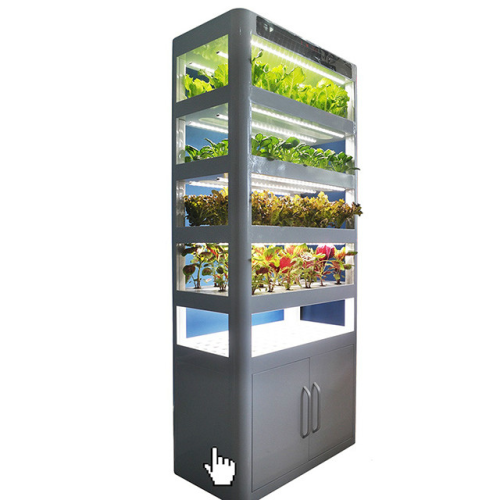 Hidropônico vertical com tanque de peixe para cultivo de vegetais