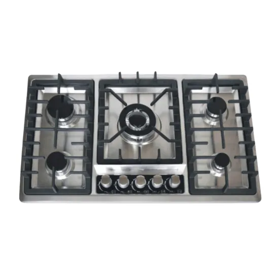5 Burner Built-in LP Gas Natural Gas Kitchen Stove - High Quality
