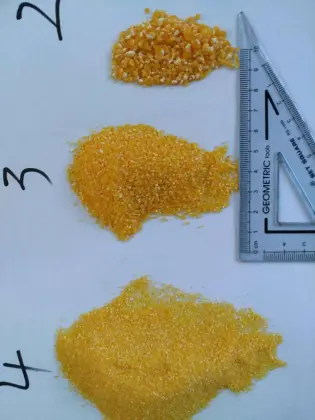 Corn grits, corn flour, corn germ.