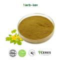 Celandine Extract 4:1 powder