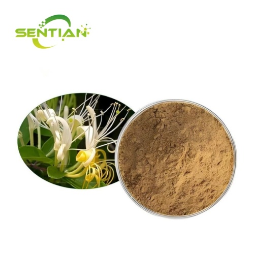 Lonicera Japonica Honeysuckle Extract Chlorogenic Acid
