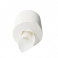 Premium Roll Hand Towel Paper 2ply (Centre-Feed)