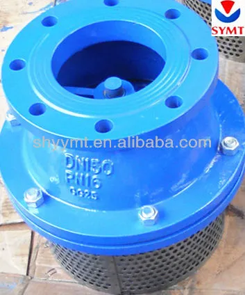 Cast Iron Foot Valve DIN