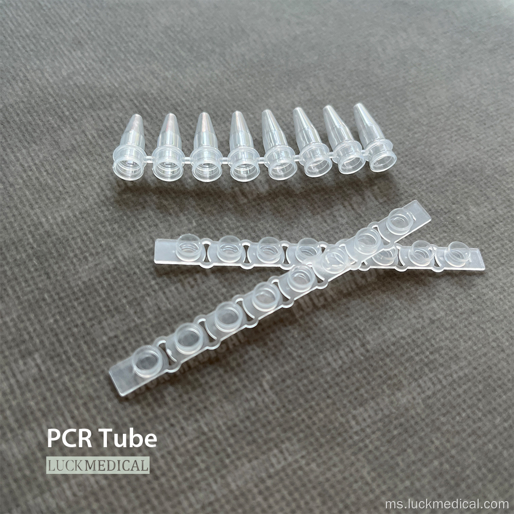 Tiub jalur PCR 8 plastik