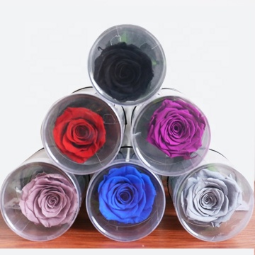 Preserved Rose Long Stem Forever Rose for Valentine's Day Gift