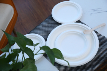 Biodegrada Round Paper Plate for Party